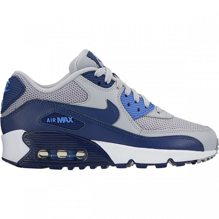 Air Max 90 Mesh GS (Wolf Grey/Binary Blue)