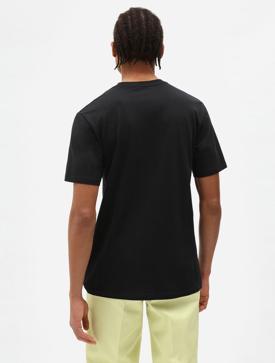 Dickies - Mapleton T-Shirt (Black)