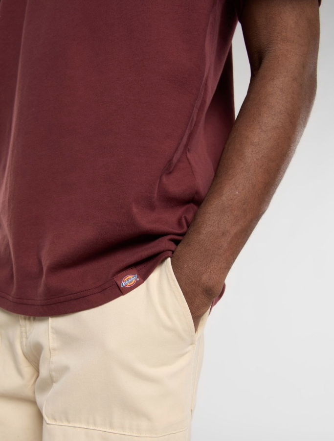 Dickies - Burns Tee (Andorra)